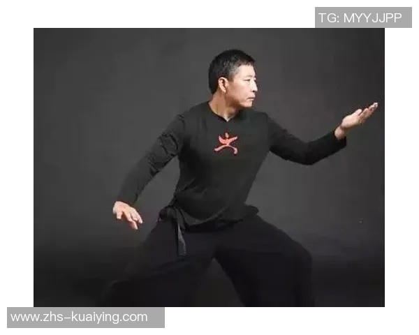 一龙挑战太极拳的背后真相与武术文化的碰撞与传承探讨